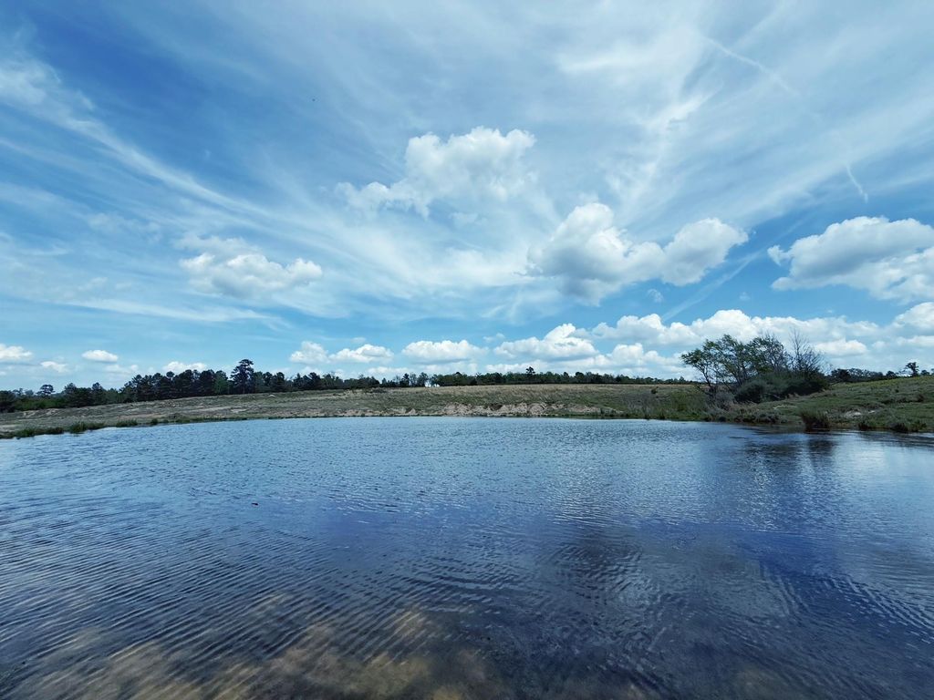 143 ac Cr 236, Oakwood, TX 75855