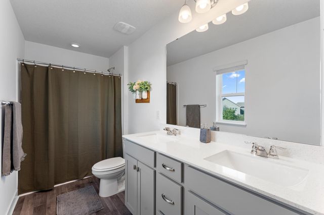 1821 Dauwalter Circle, Carver, MN 55315