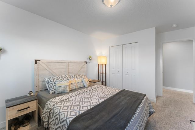 1821 Dauwalter Circle, Carver, MN 55315