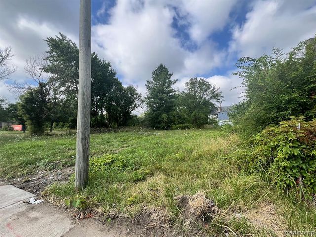 3045 Mount Elliott Street, Detroit, MI 48207