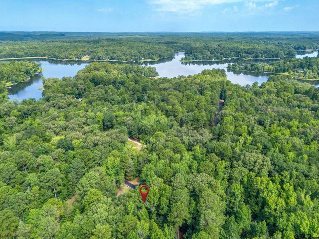 237 County Road 1525, Avinger, TX 75630