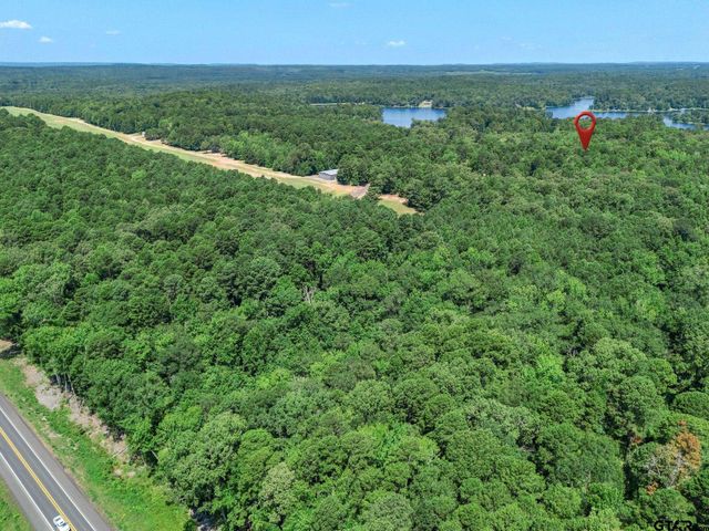 237 County Road 1525, Avinger, TX 75630