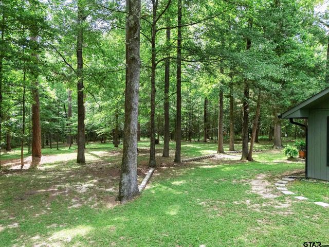 237 County Road 1525, Avinger, TX 75630