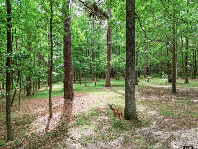 237 County Road 1525, Avinger, TX 75630