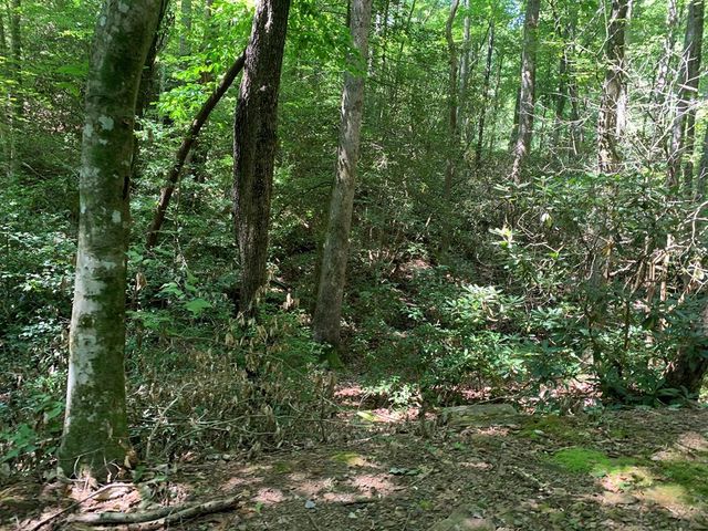 43 Laurel Lane, Murphy, NC 28906