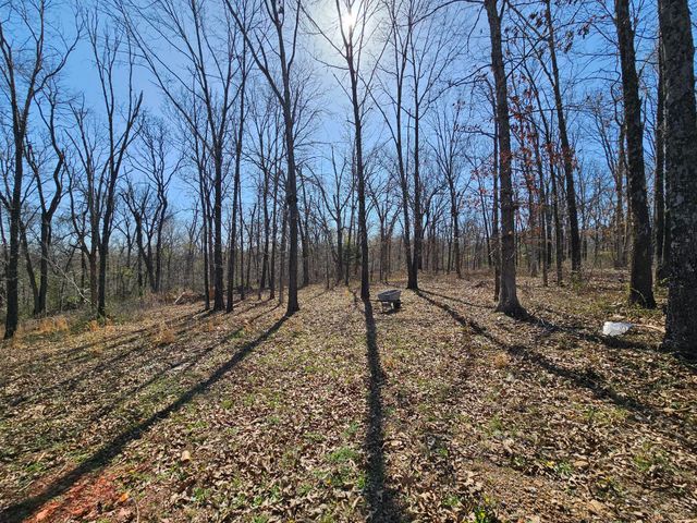 503 Hilltop Lane, Anderson, MO 64831