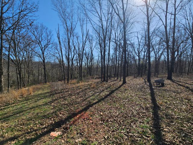 503 Hilltop Lane, Anderson, MO 64831