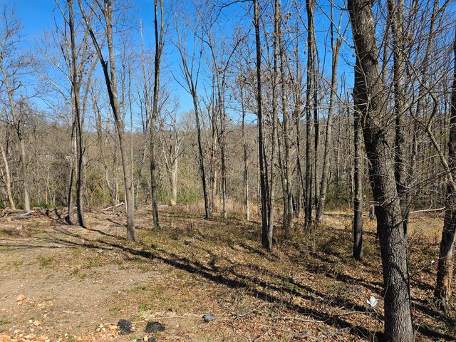 503 Hilltop Lane, Anderson, MO 64831