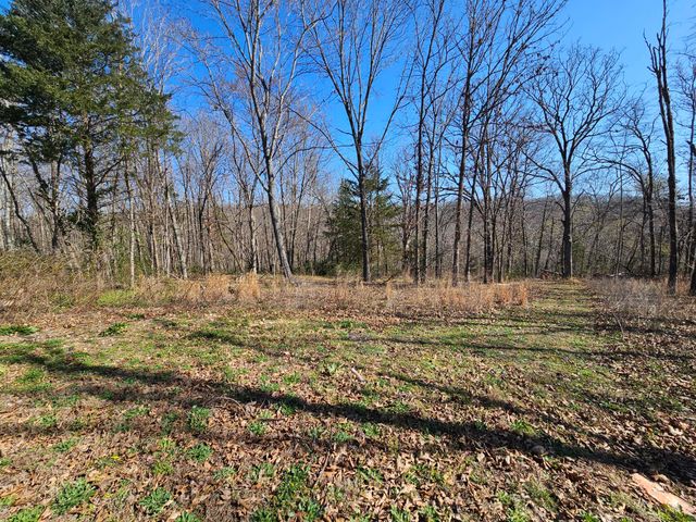 503 Hilltop Lane, Anderson, MO 64831