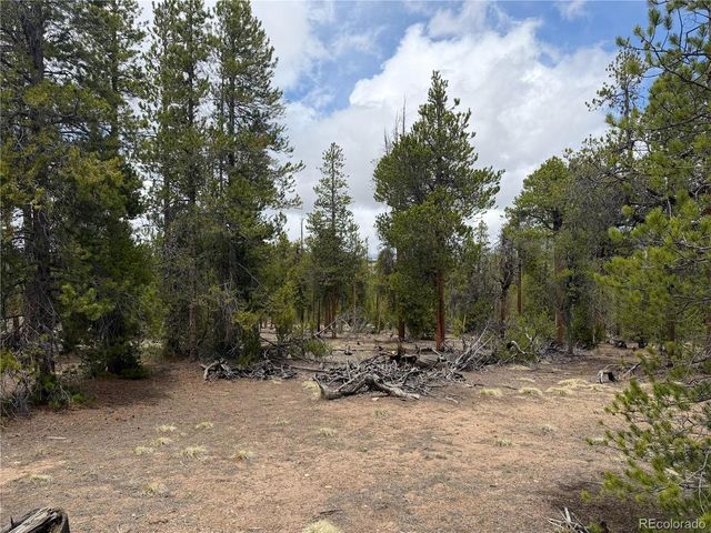 341 Lodgepole Dr, Leadville, CO 80461
