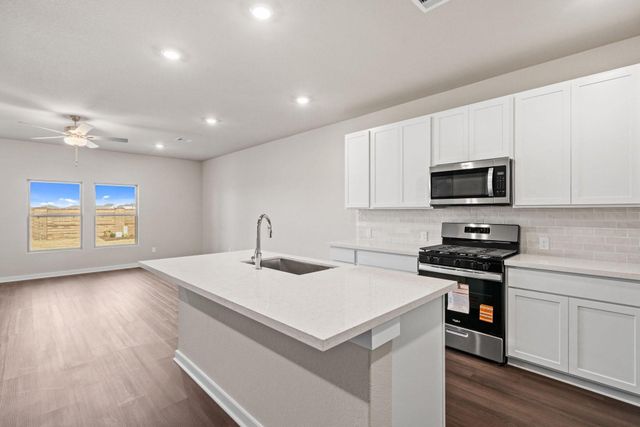 19058 Cetara Villa Drive, Hockley, TX 77447