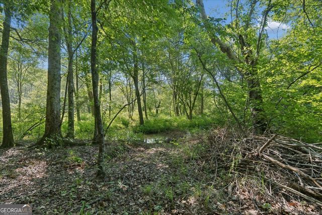 3610 Hwy 142, Newborn, GA 30056