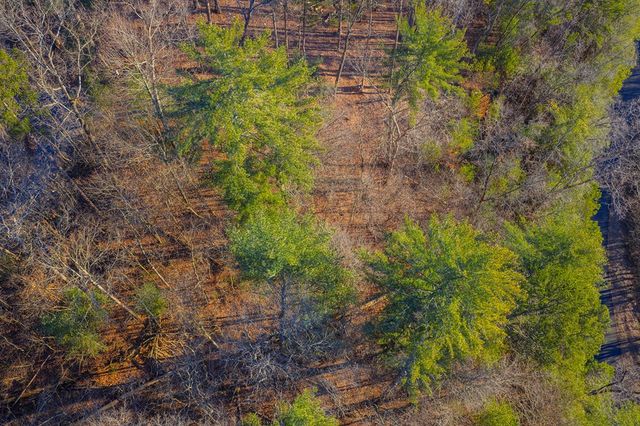 Lot 157 Roaring Forks Lane, Ellijay, GA 30540