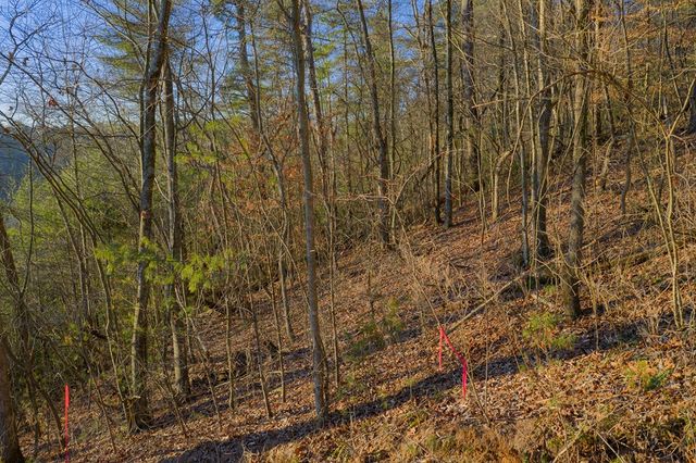 Lot 157 Roaring Forks Lane, Ellijay, GA 30540