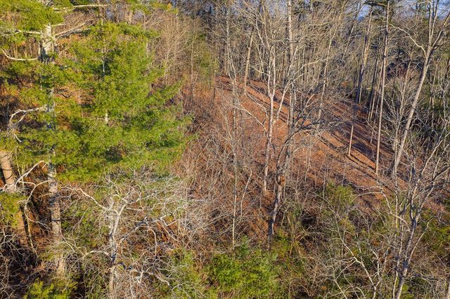 Lot 157 Roaring Forks Lane, Ellijay, GA 30540