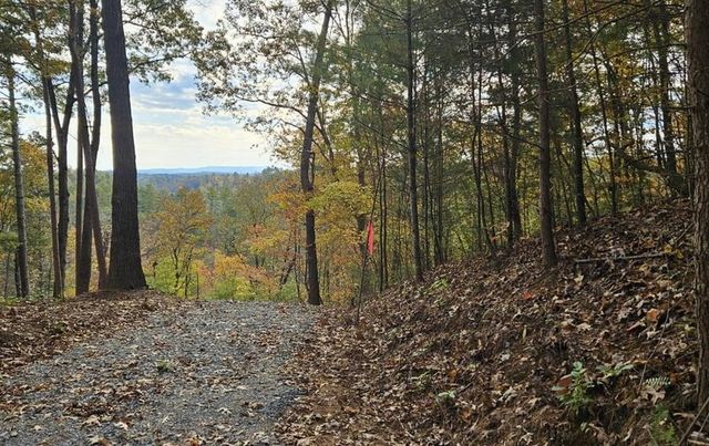 Lot 157 Roaring Forks Lane, Ellijay, GA 30540