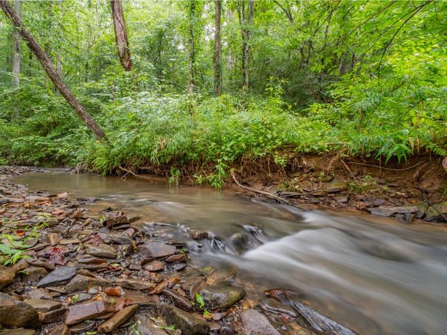 Lot 157 Roaring Forks Lane, Ellijay, GA 30540