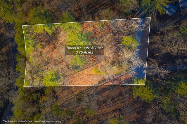 Lot 157 Roaring Forks Lane, Ellijay, GA 30540