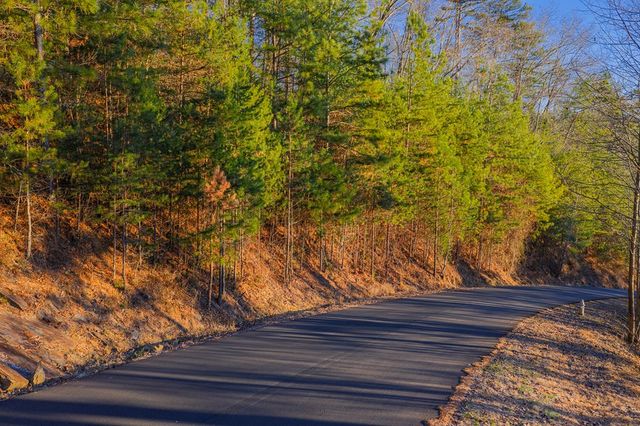 Lot 157 Roaring Forks Lane, Ellijay, GA 30540