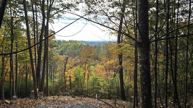Lot 157 Roaring Forks Lane, Ellijay, GA 30540