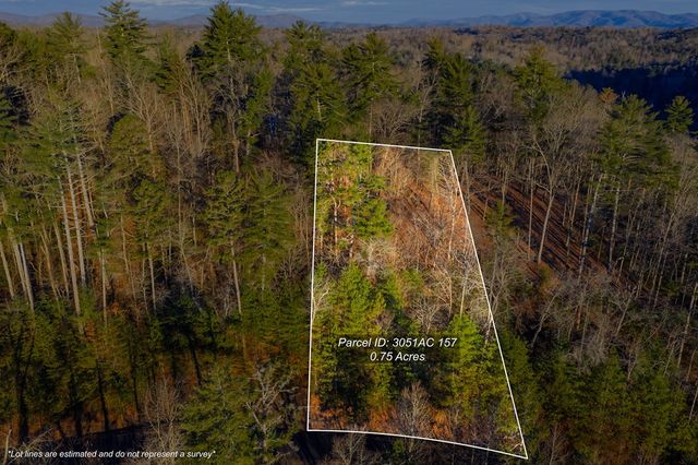 Lot 157 Roaring Forks Lane, Ellijay, GA 30540