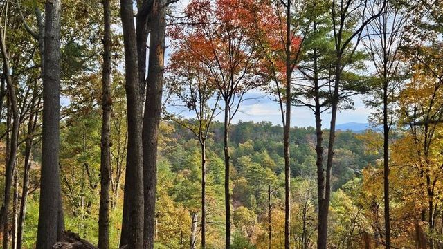 Lot 157 Roaring Forks Lane, Ellijay, GA 30540