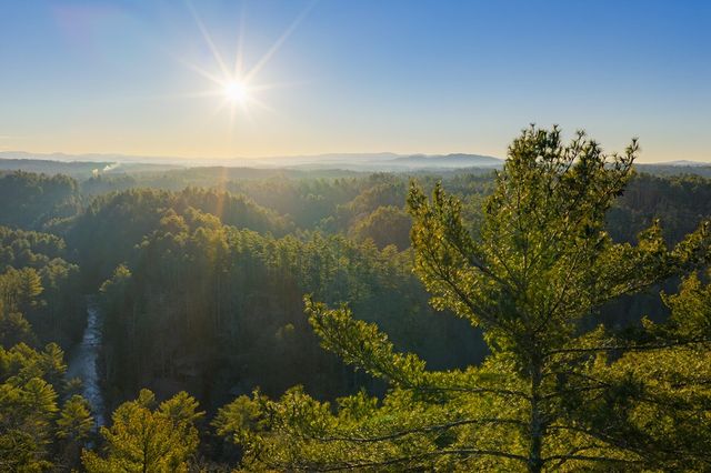 Lot 157 Roaring Forks Lane, Ellijay, GA 30540