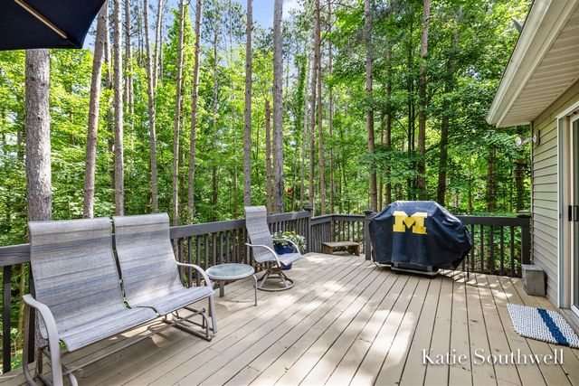 13569 Missy's Way, Lowell, MI 49331