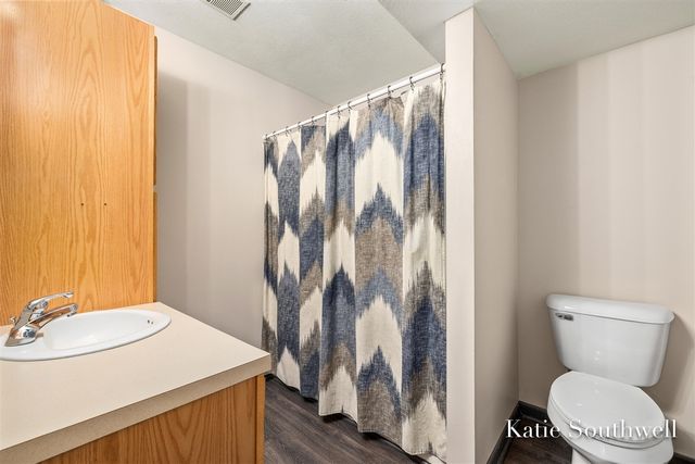 13569 Missy's Way, Lowell, MI 49331