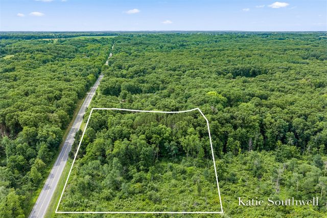 13569 Missy's Way, Lowell, MI 49331