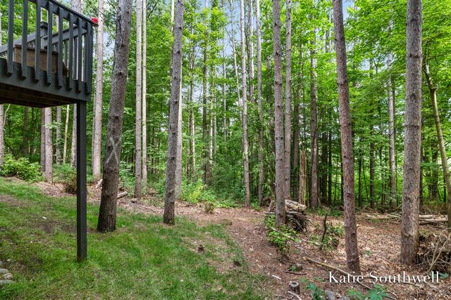 13569 Missy's Way, Lowell, MI 49331