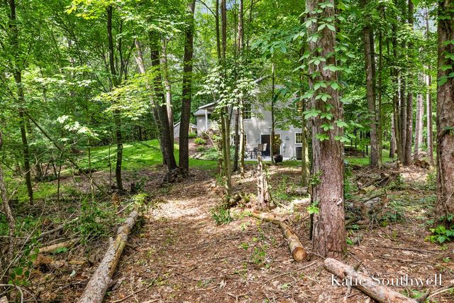 13569 Missy's Way, Lowell, MI 49331