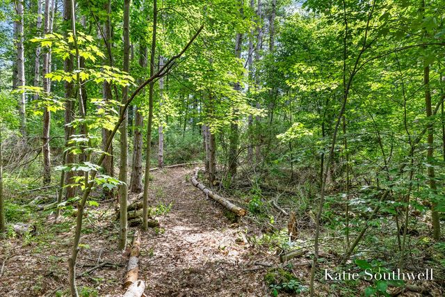 13569 Missy's Way, Lowell, MI 49331