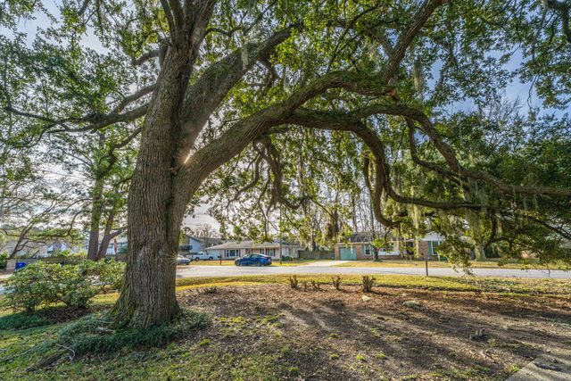 719 Swan Avenue, Charleston, SC 29414
