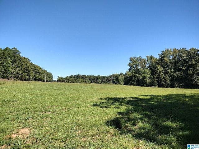 0 COUNTY ROAD 59, Roanoke, AL 36274