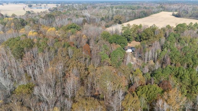 9596 AL HWY 60, Moundville, AL 35474