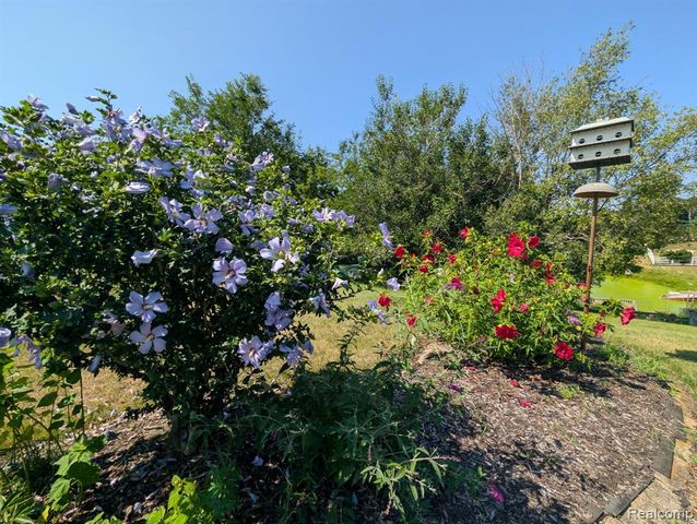 9362 Bennett Lake Road, Fenton, MI 48430