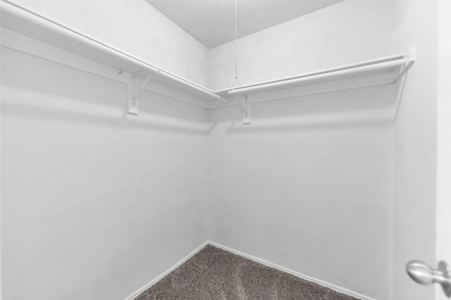 2317 Shady Birch Drive, Conroe, TX 77301