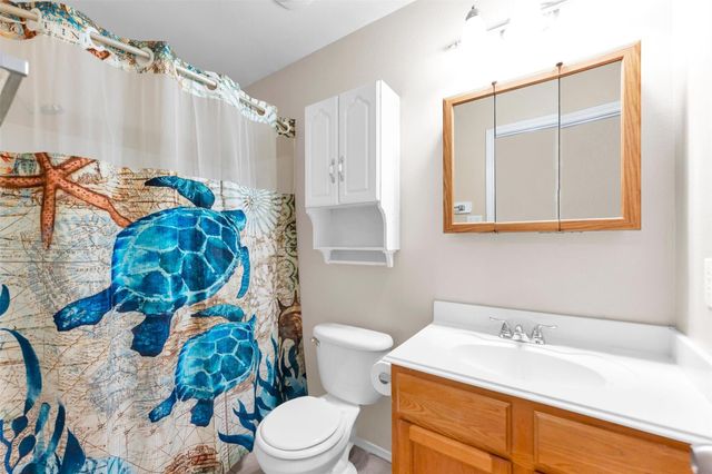 2317 Shady Birch Drive, Conroe, TX 77301