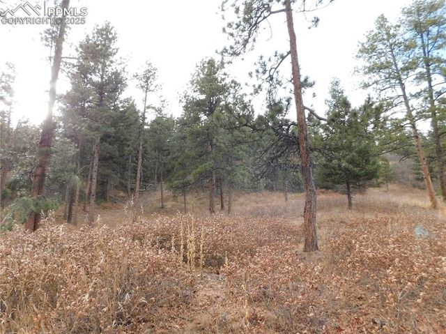 8055 Acoma Drive, Larkspur, CO 80118