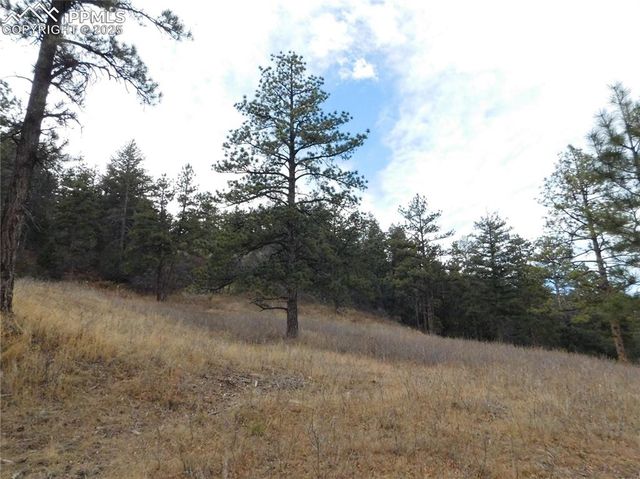 8055 Acoma Drive, Larkspur, CO 80118