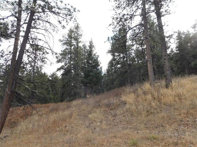 8055 Acoma Drive, Larkspur, CO 80118