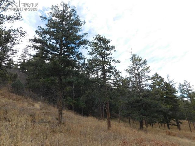 8055 Acoma Drive, Larkspur, CO 80118