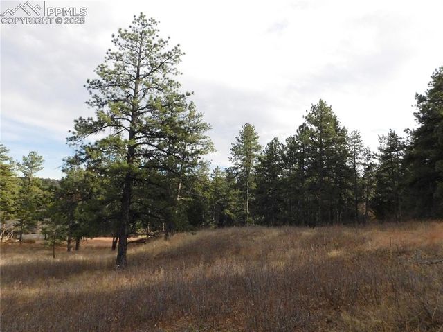 8055 Acoma Drive, Larkspur, CO 80118