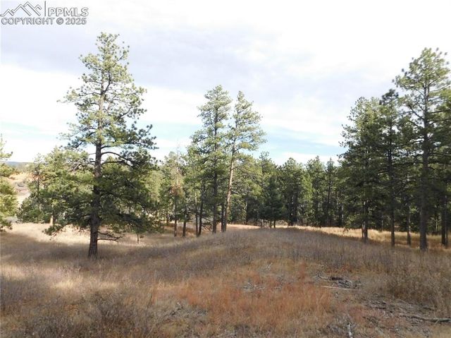 8055 Acoma Drive, Larkspur, CO 80118