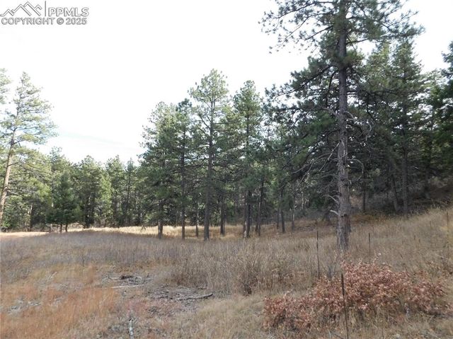 8055 Acoma Drive, Larkspur, CO 80118