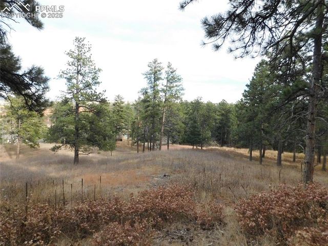 8055 Acoma Drive, Larkspur, CO 80118