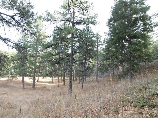 8055 Acoma Drive, Larkspur, CO 80118