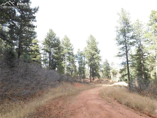 8055 Acoma Drive, Larkspur, CO 80118