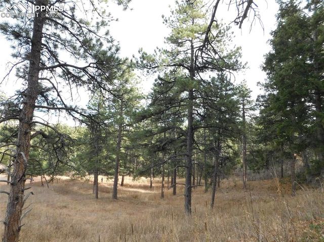 8055 Acoma Drive, Larkspur, CO 80118